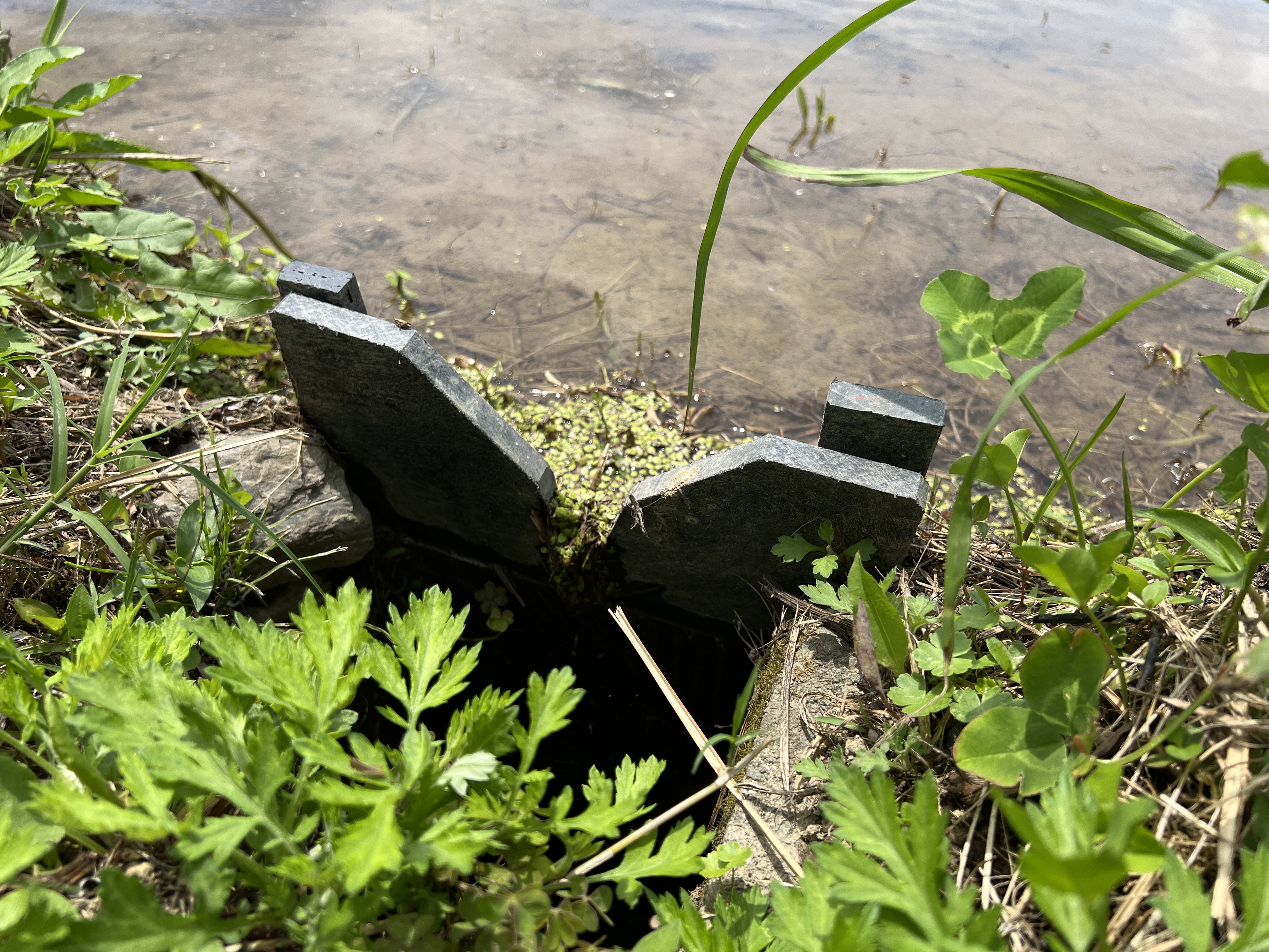流域治水・田んぼダム